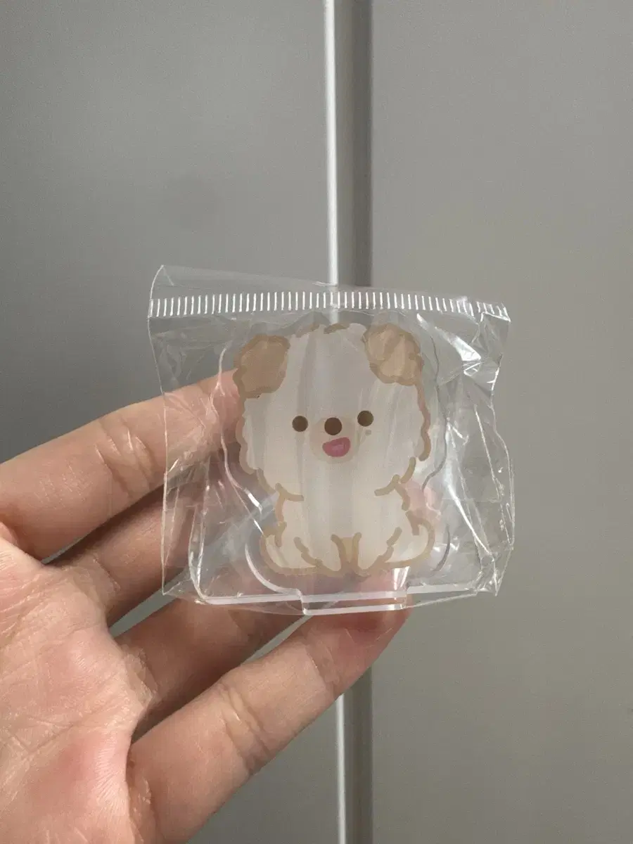 DAY6 | 데이식스 Day6 pop up entry exit kit candle #데이식스